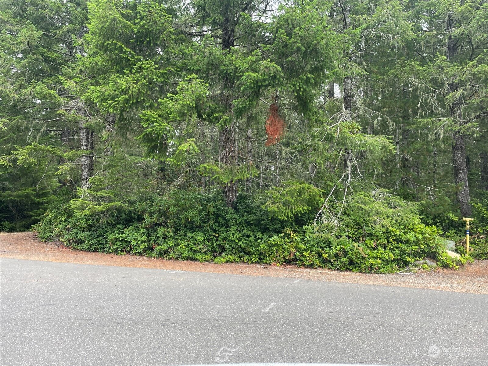 Property Photo:  1300 N Colony Surf Drive  WA 98555 