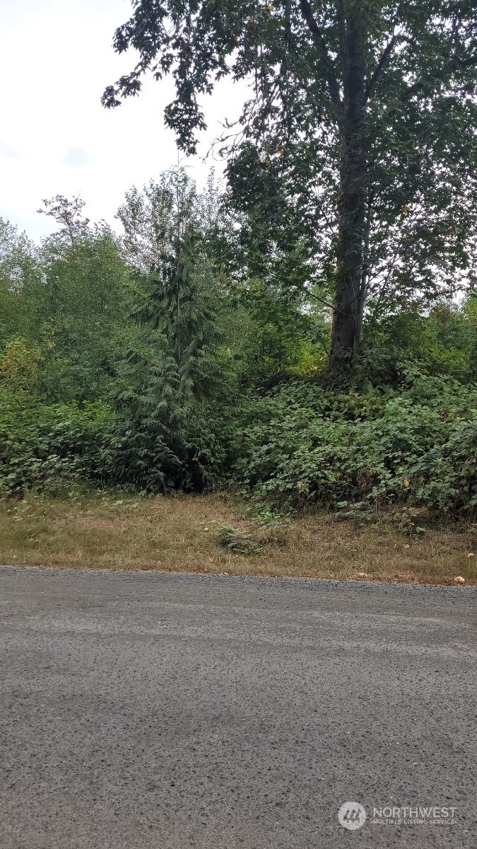 Property Photo:  0 158th Street E  WA 98321 