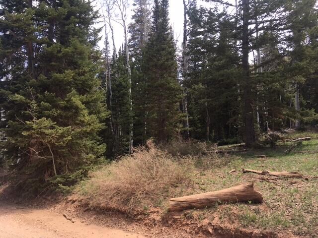 Property Photo:  5 Ac Dry Lakes Rd. Green Meadow Acres  UT 84719 