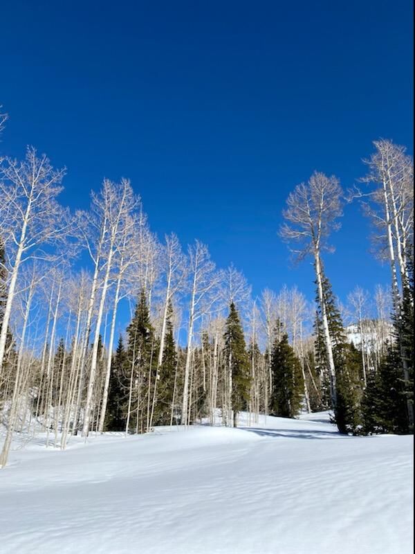 Property Photo:  314 E Toboggan Cir Lot 15 Blk D Ski Haven Chalets  UT 84719 
