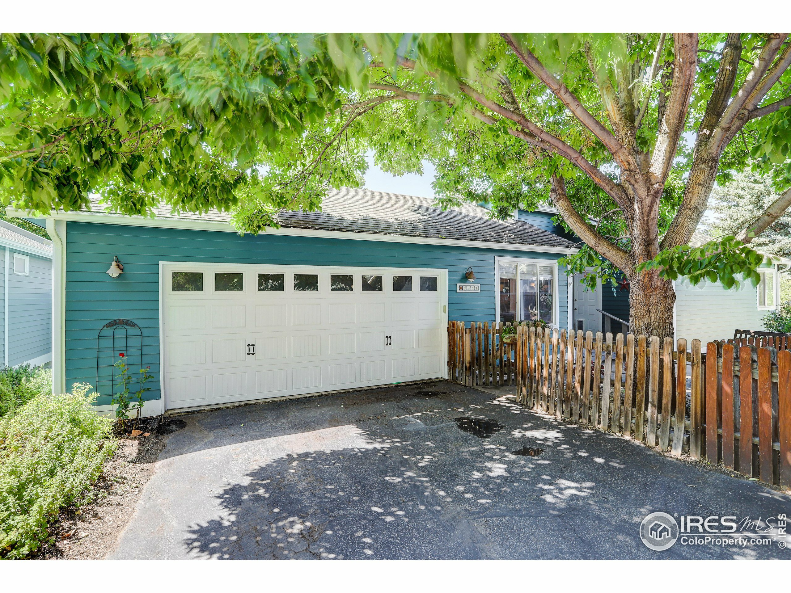 Property Photo:  814 N Arbor Ave S F  CO 80526 