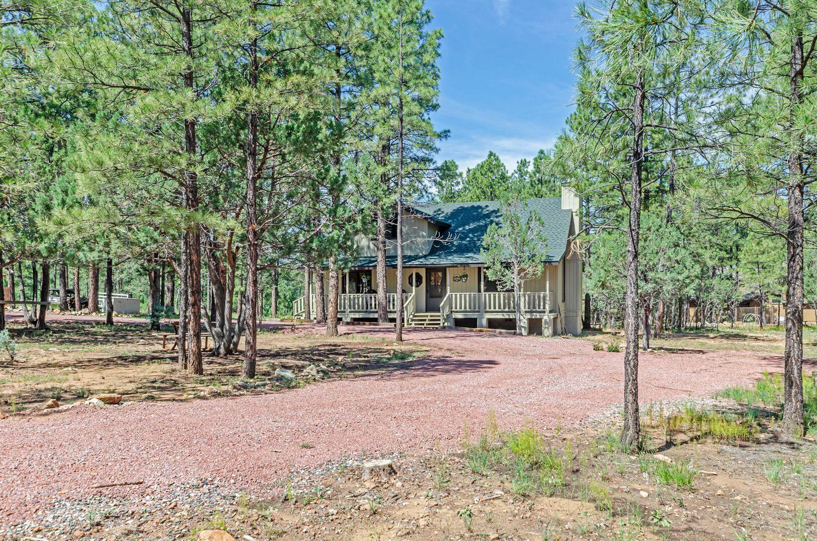 4393 Farrier Court  Happy Jack AZ 86024 photo