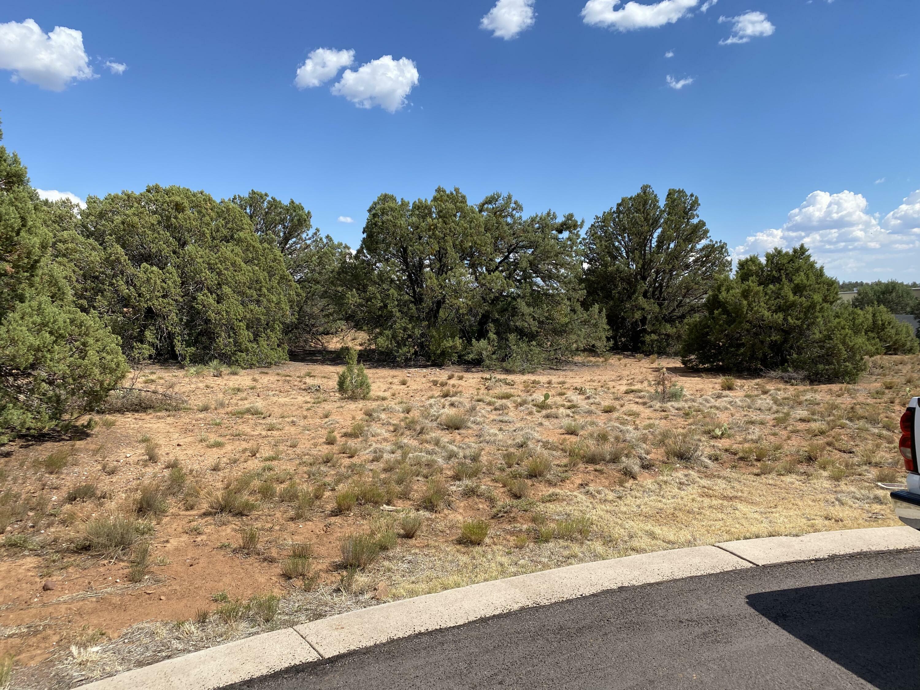 Property Photo:  1503 W Mooney Parkway  AZ 85541 