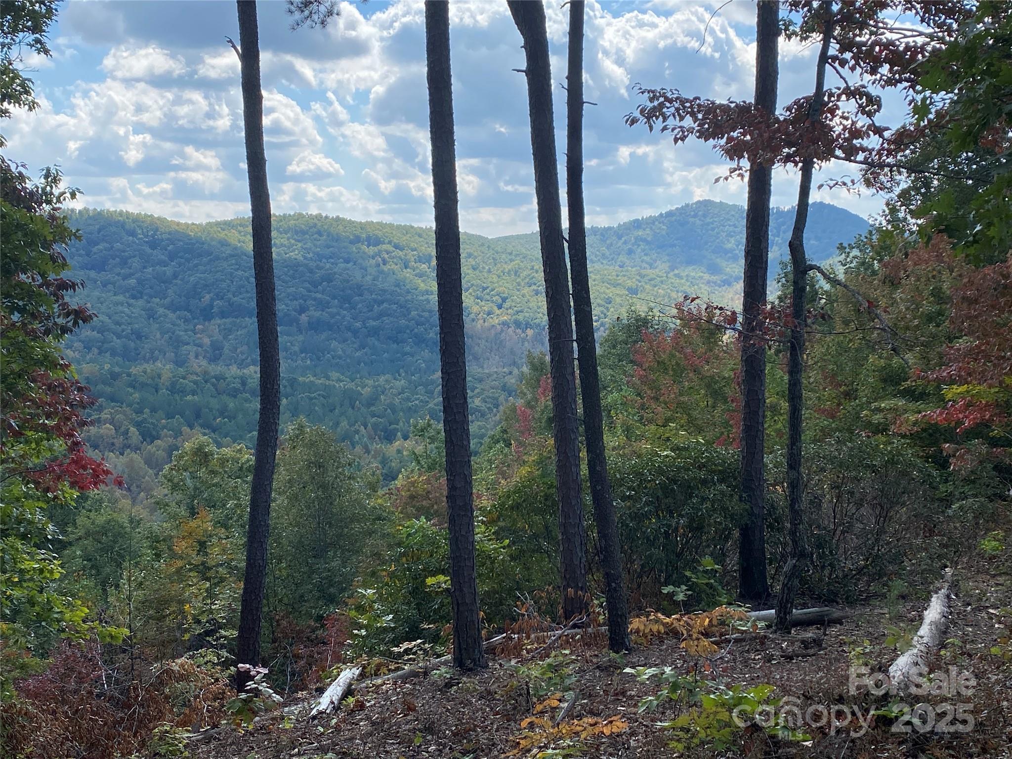 61 Scenic Vista Drive 238  Nebo NC 28761 photo