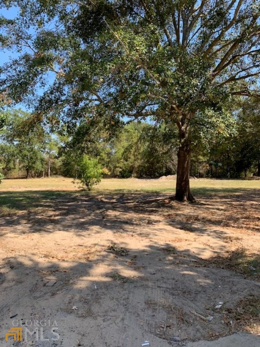 Property Photo: 271 Twin Walk GA 31008