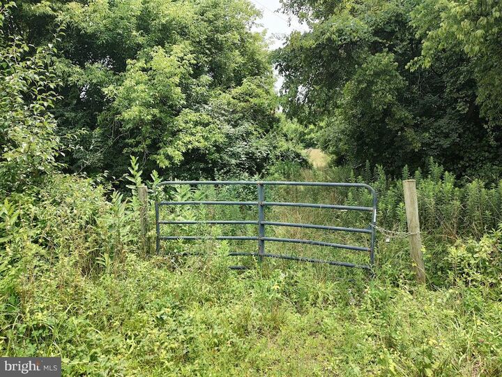 Property Photo: E Pulaski Highway MD 21921