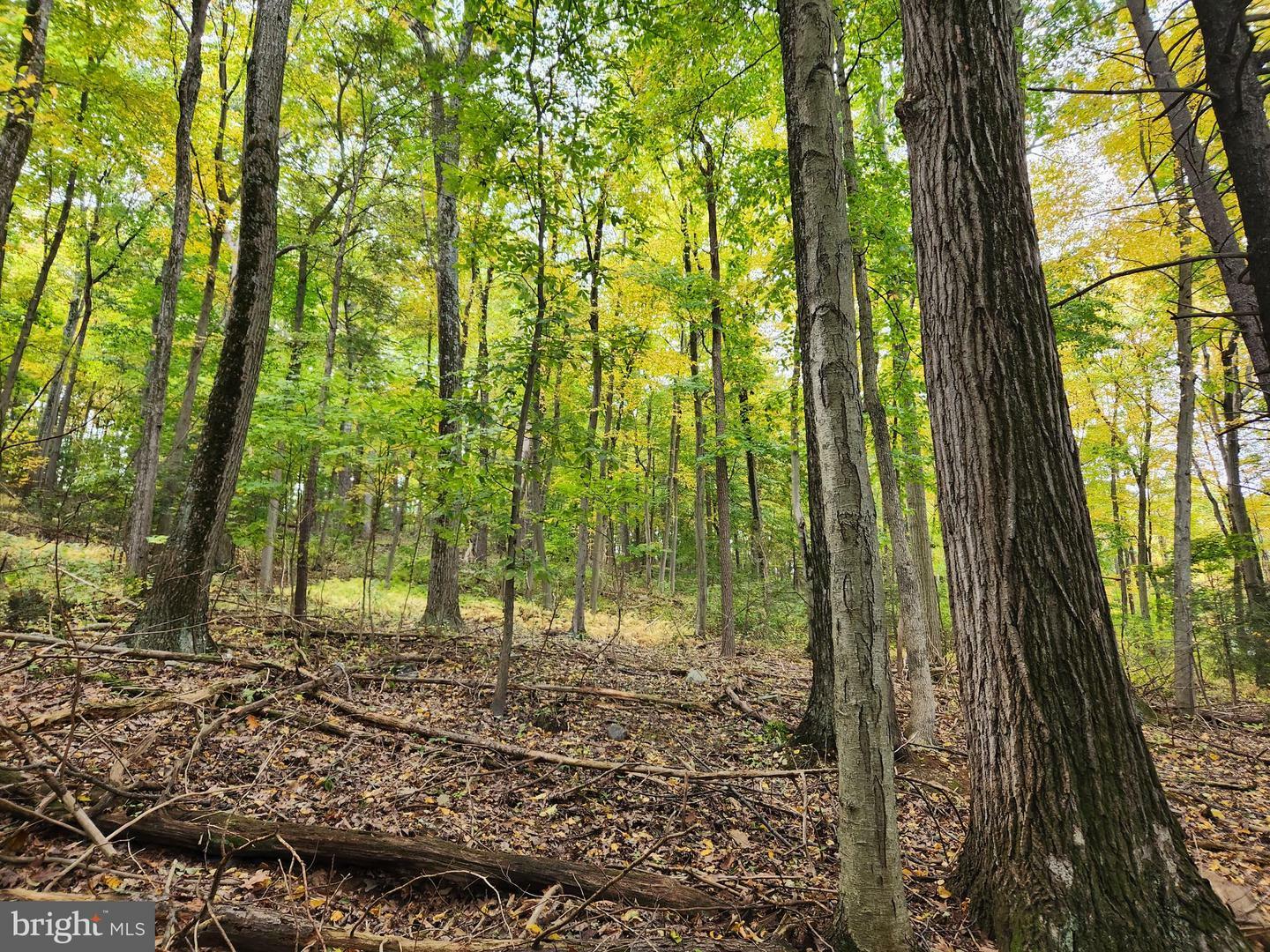 Property Photo: 1784 Old Route 30 PA 17353