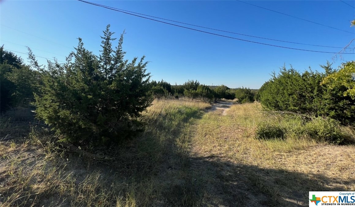 Property Photo: 000 Morrow Drive TX 76522
