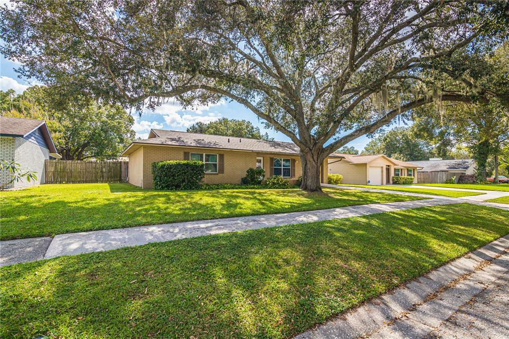 Property Photo:  610 Avocado Drive  FL 33584 