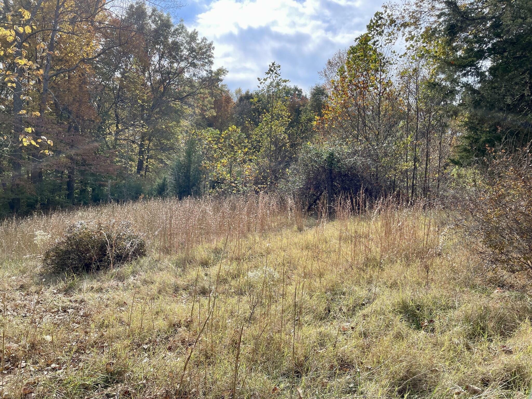 Property Photo:  1321 Curry Road  KY 42743 