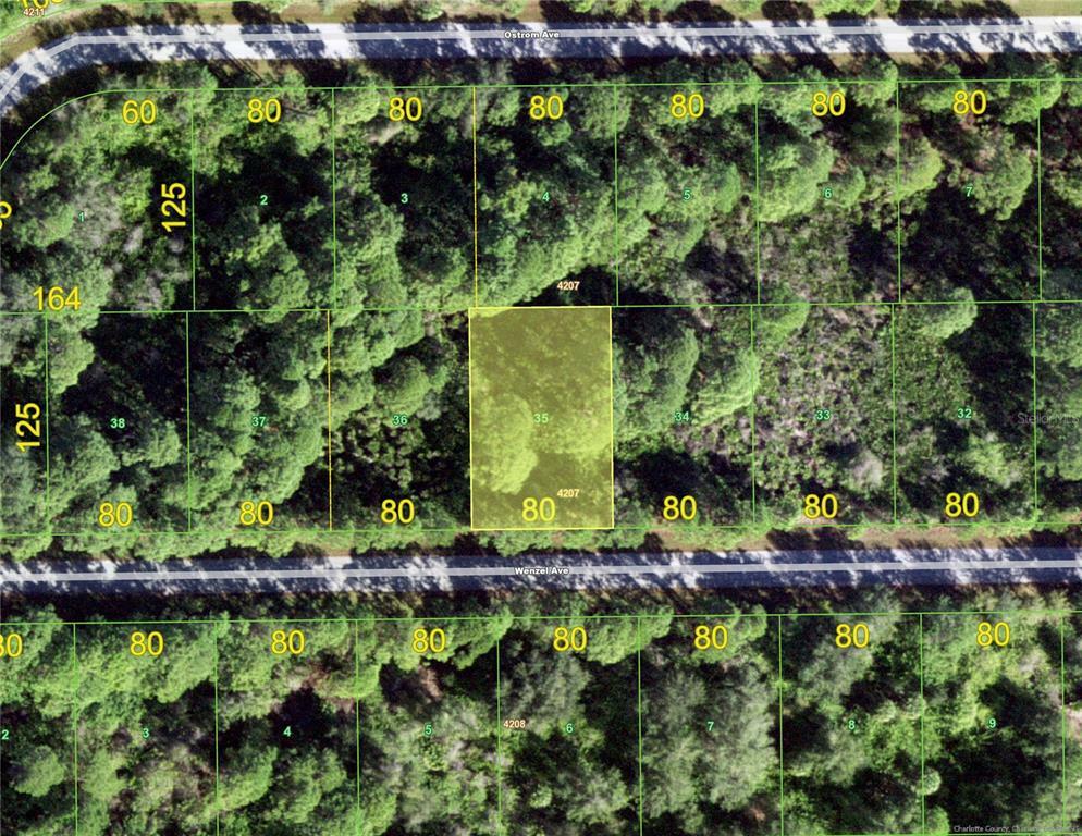 Property Photo:  14130 Wenzel Avenue  FL 33981 