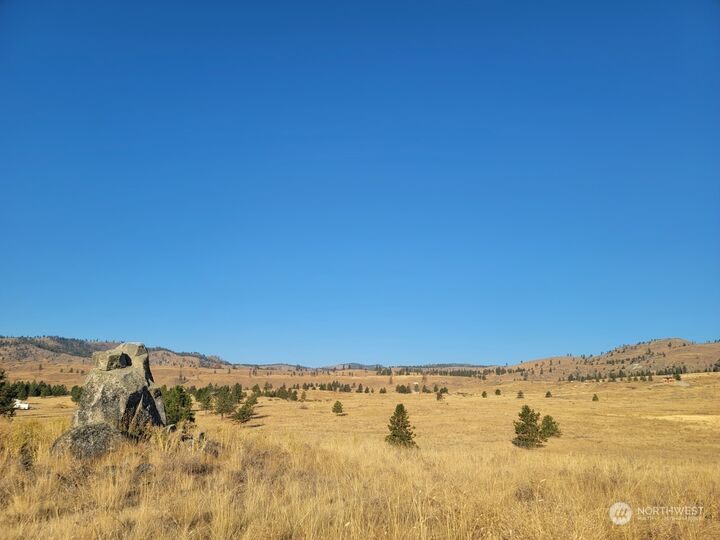 Property Photo: 0 Washington Creek Road WA 98816