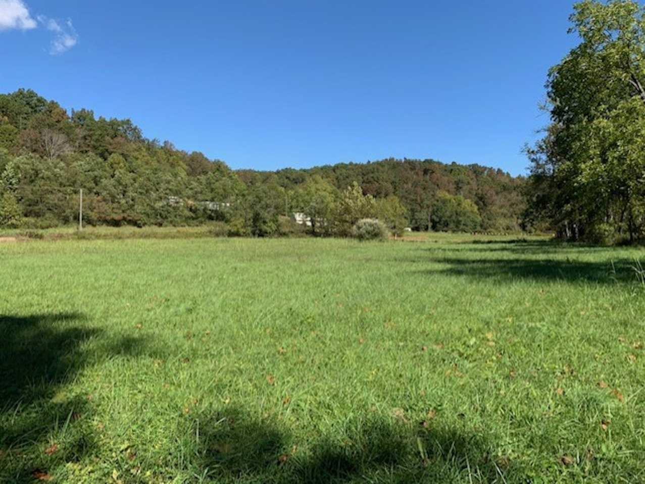 Property Photo: 00 Bolts Fork Road Lots 8,9 &Amp Pt 5,6,7 KY 41168