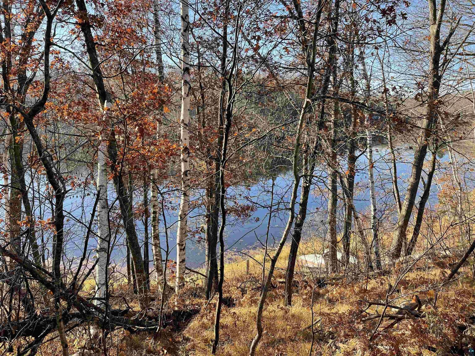 Property Photo: 9375 Wildwood Campground Rd WI 54847