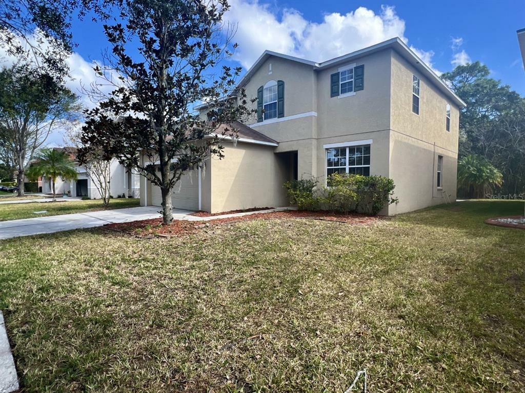 Property Photo: 11116 Rising Mist Boulevard FL 33578