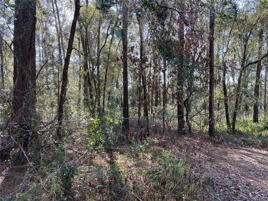 Property Photo: 0, FL 34470
