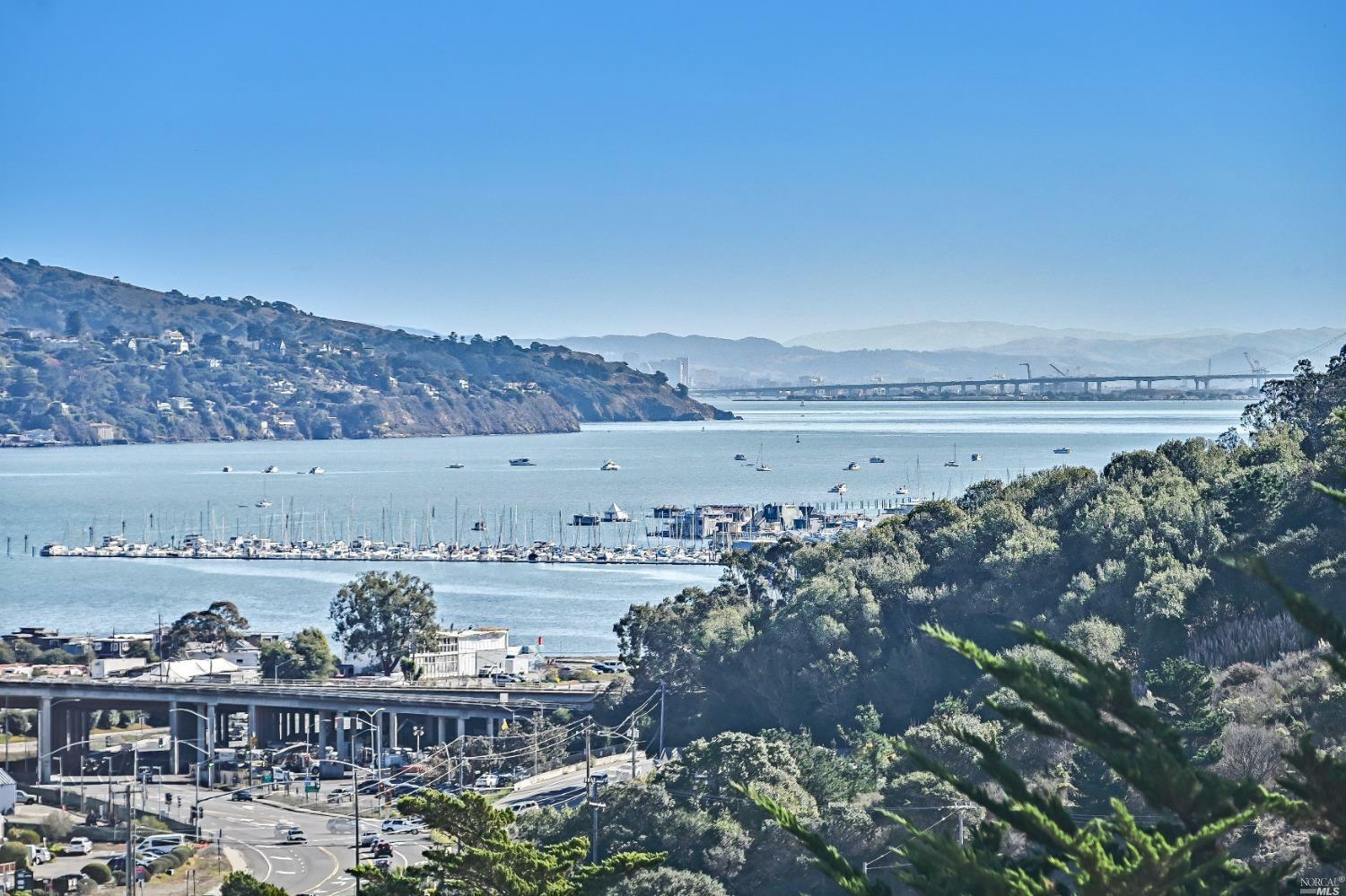 Property Photo: 258 Greene Street CA 94941