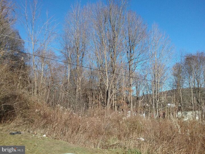 Property Photo:  Route 40 Road  MD 21528 