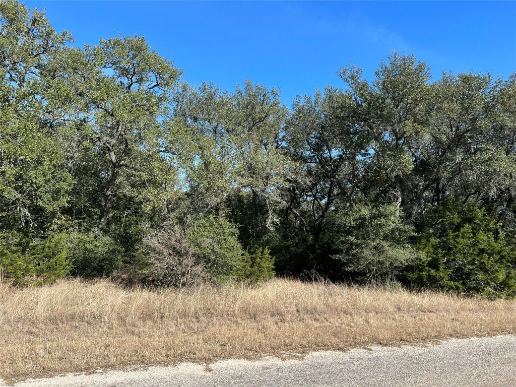 Property Photo:  1956 Falconwood Drive  TX 78666 