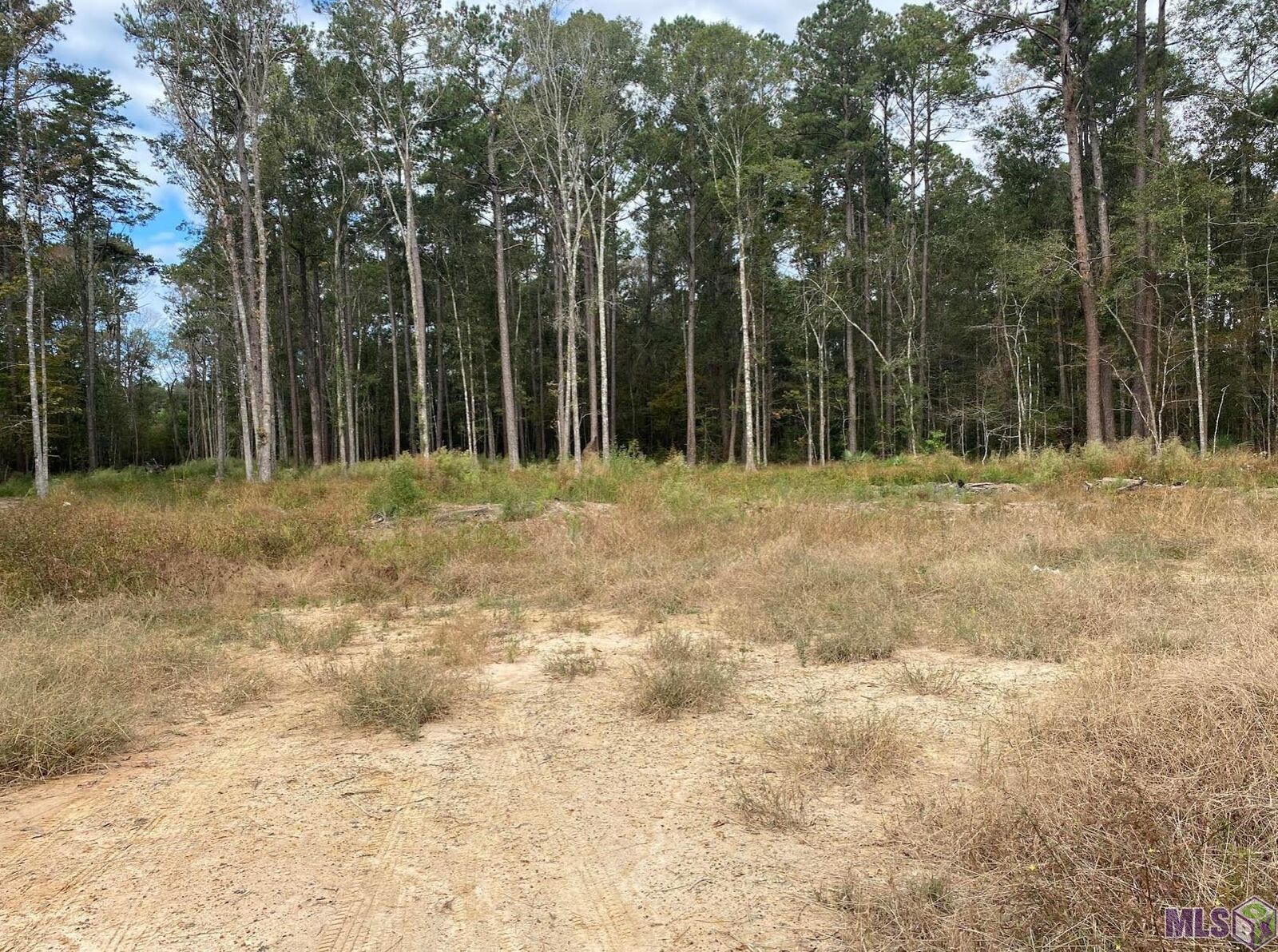 Property Photo:  37285 Reinninger Rd  LA 70706 