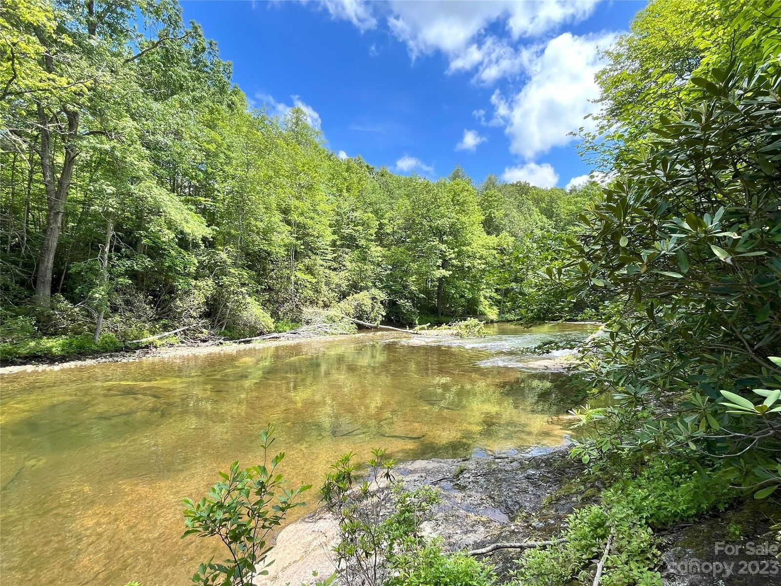 Property Photo:  Tbd Copperhead Bend  NC 28714