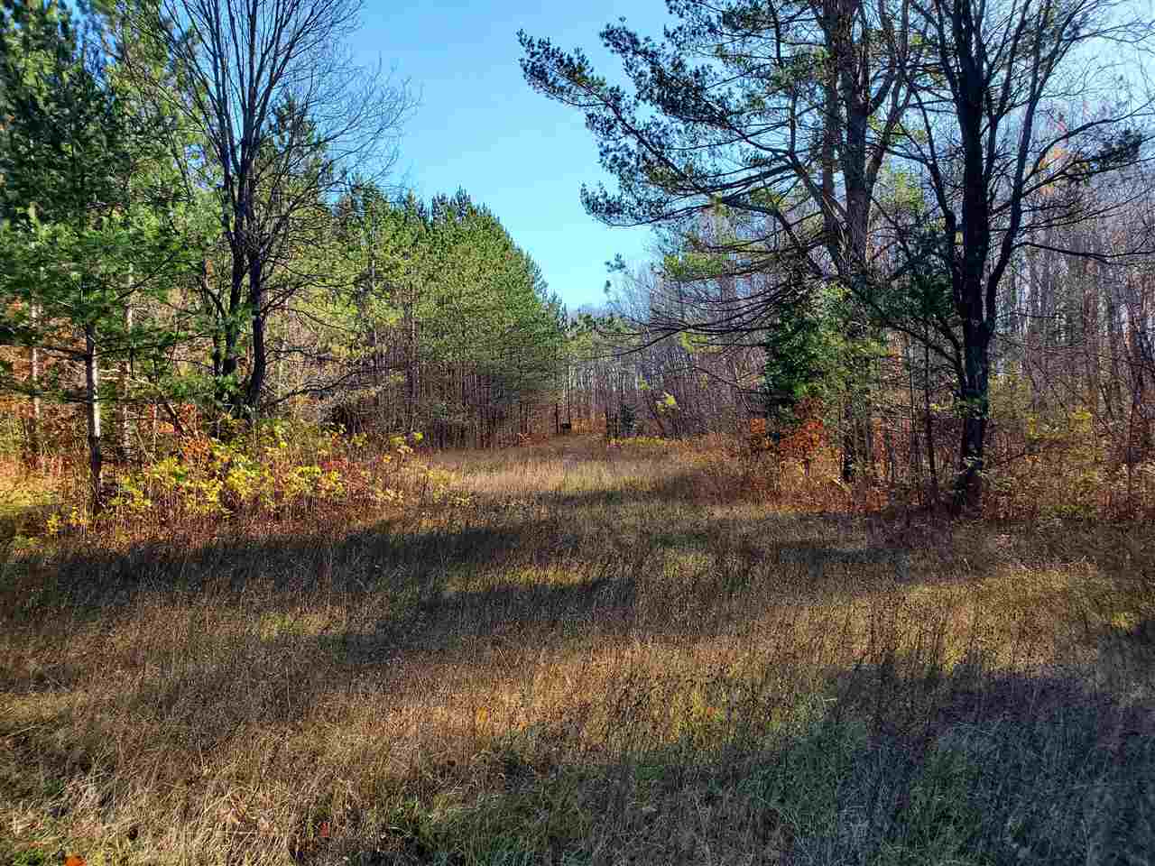Property Photo: Woodin MI 49795