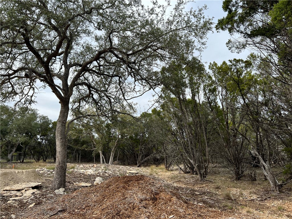 Property Photo:  18 Mesquite Trail  TX 78676 