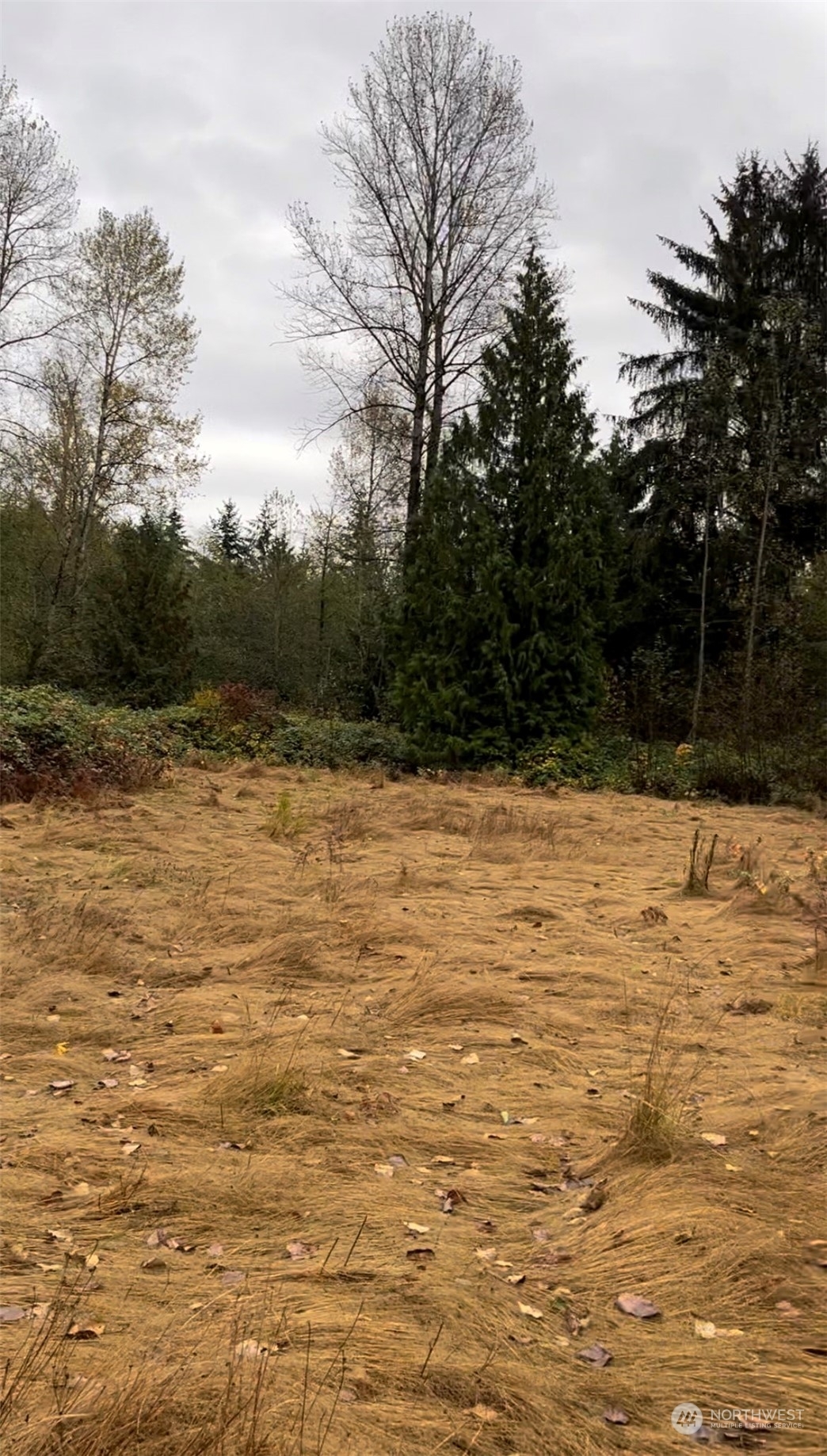 Property Photo:  8824 State Route 530 NE  WA 98223 