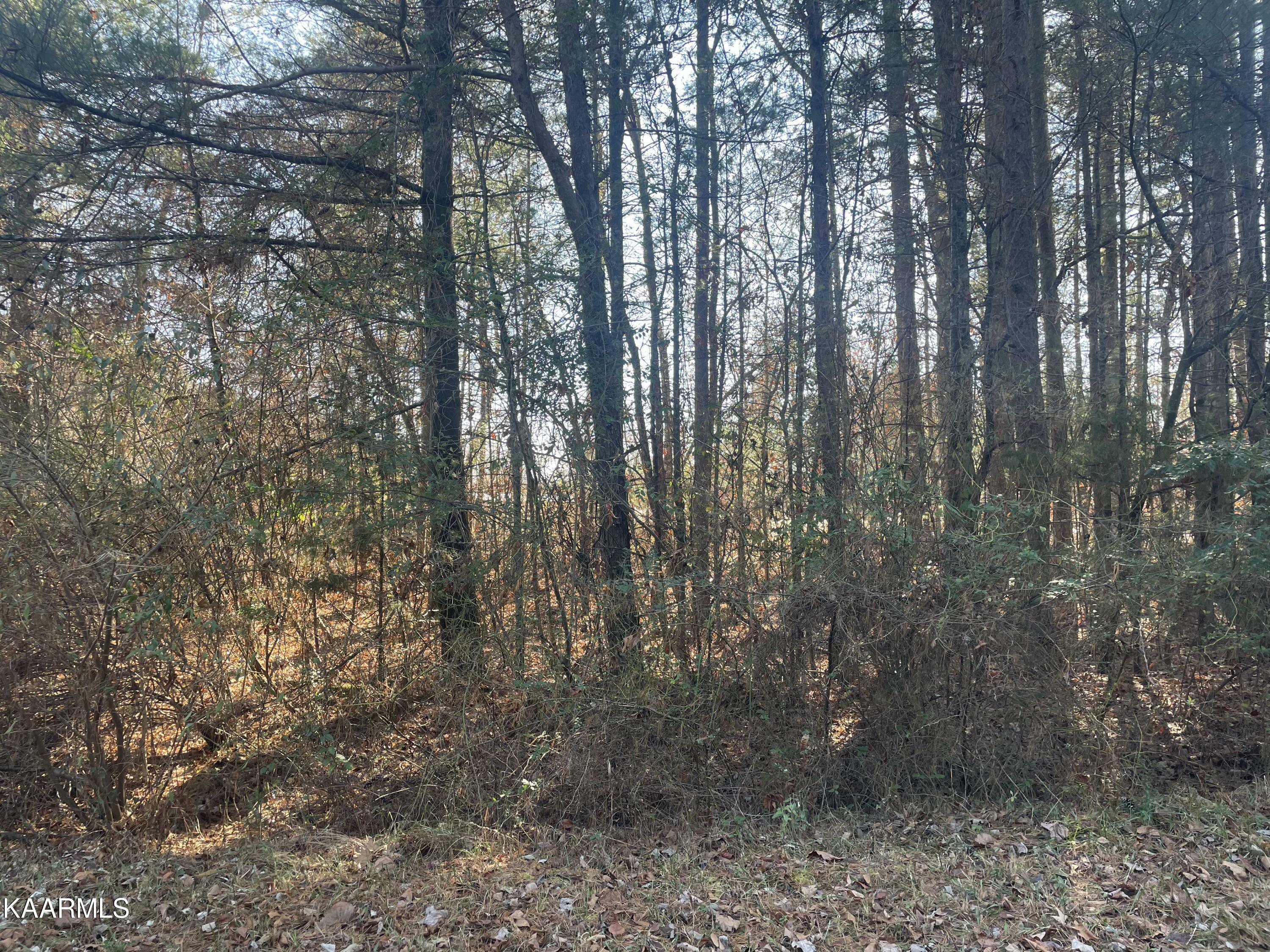 Property Photo:  5047 Beaver Rd  TN 38572 