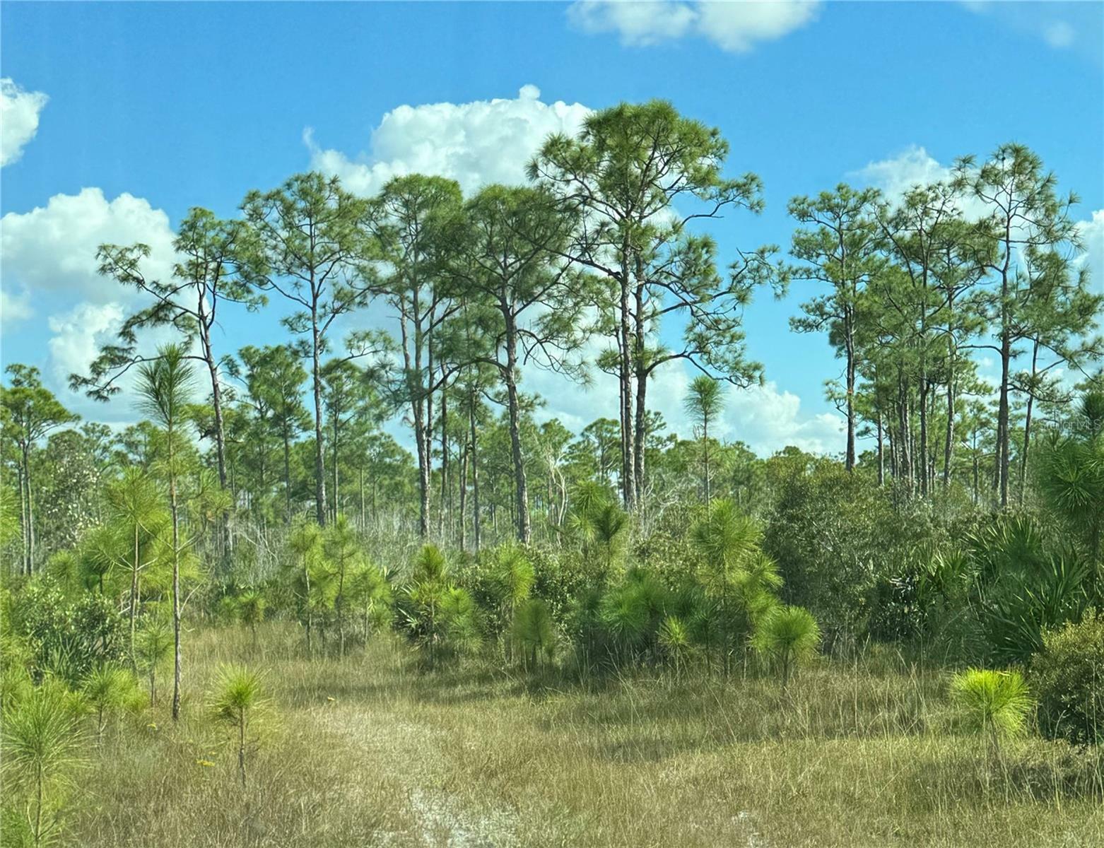 Property Photo:  17480 Burnt Store Road  FL 33955 