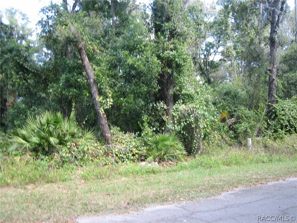 Property Photo:  6675 N Hartman Path  FL 34442 