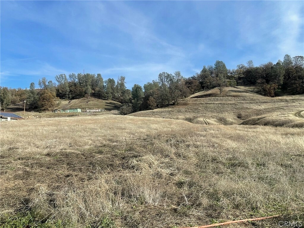Property Photo: 6780 Live Oak Drive CA 95451