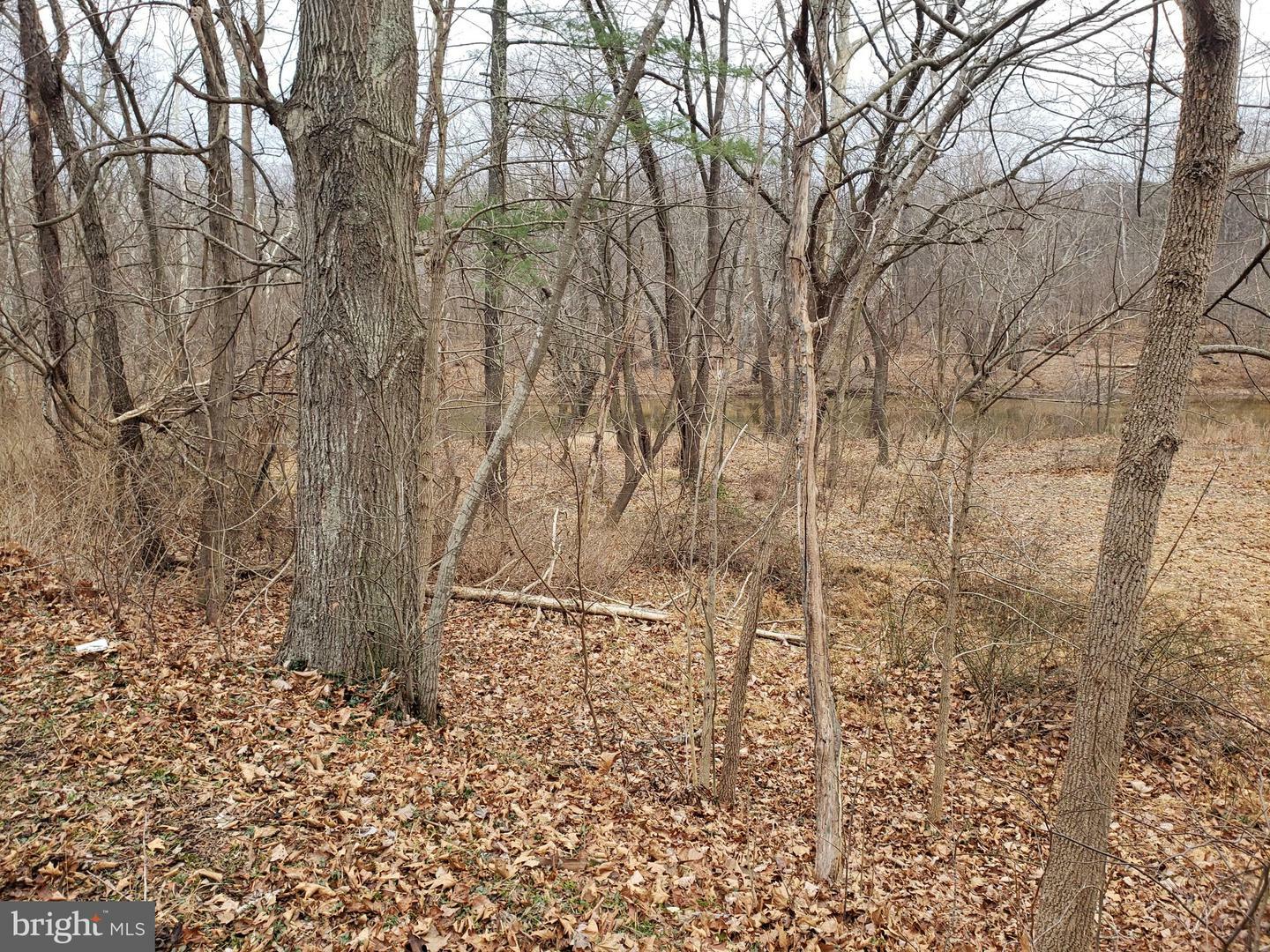 Property Photo:  Cacapon Rd Cacapon Rd.  WV 25422 