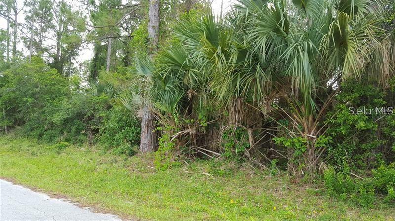 Property Photo:  Victory Palm Drive  FL 32132 