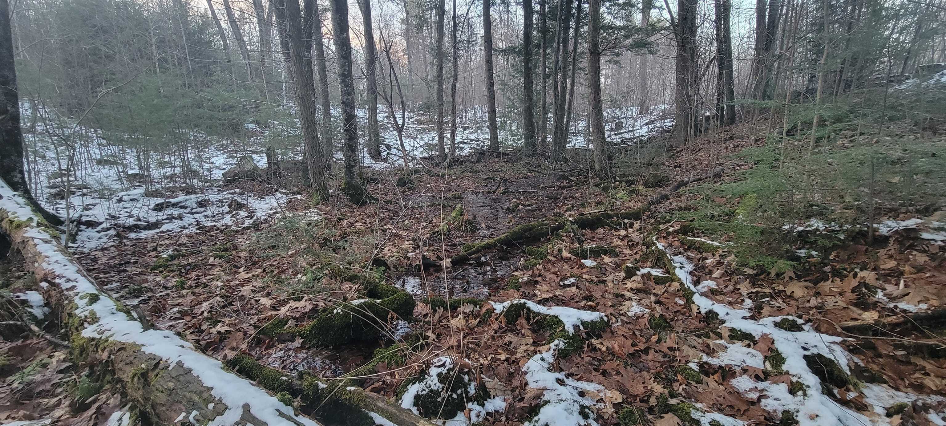 Property Photo: 0 Newton Road VT 05354