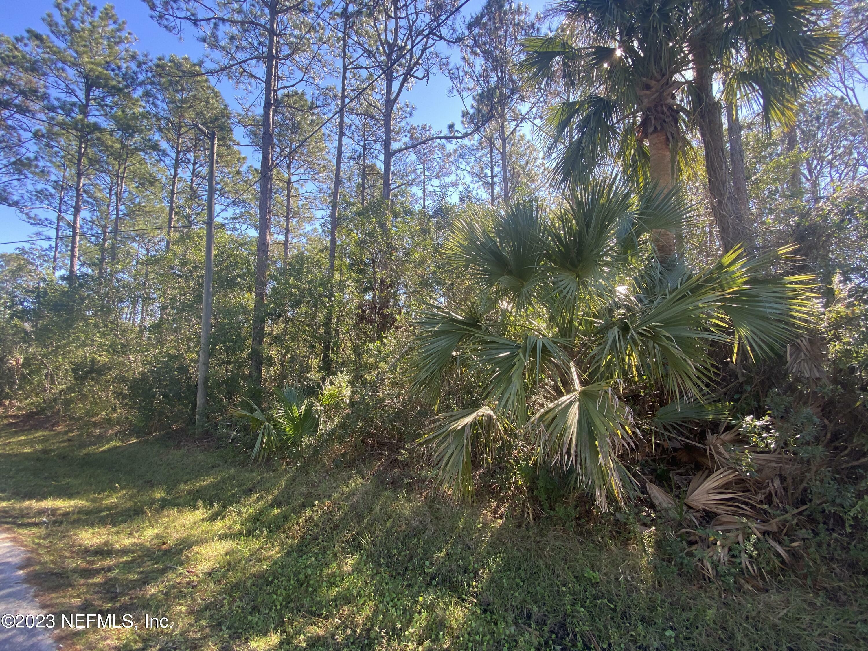 Property Photo:  104 Slumber Meadow Trail  FL 32164 