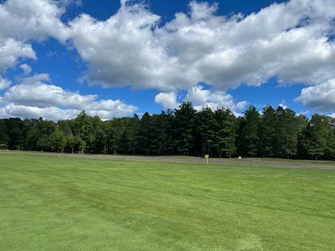 Property Photo: Lot 91 Hanscom Lake Trailway WI 54830