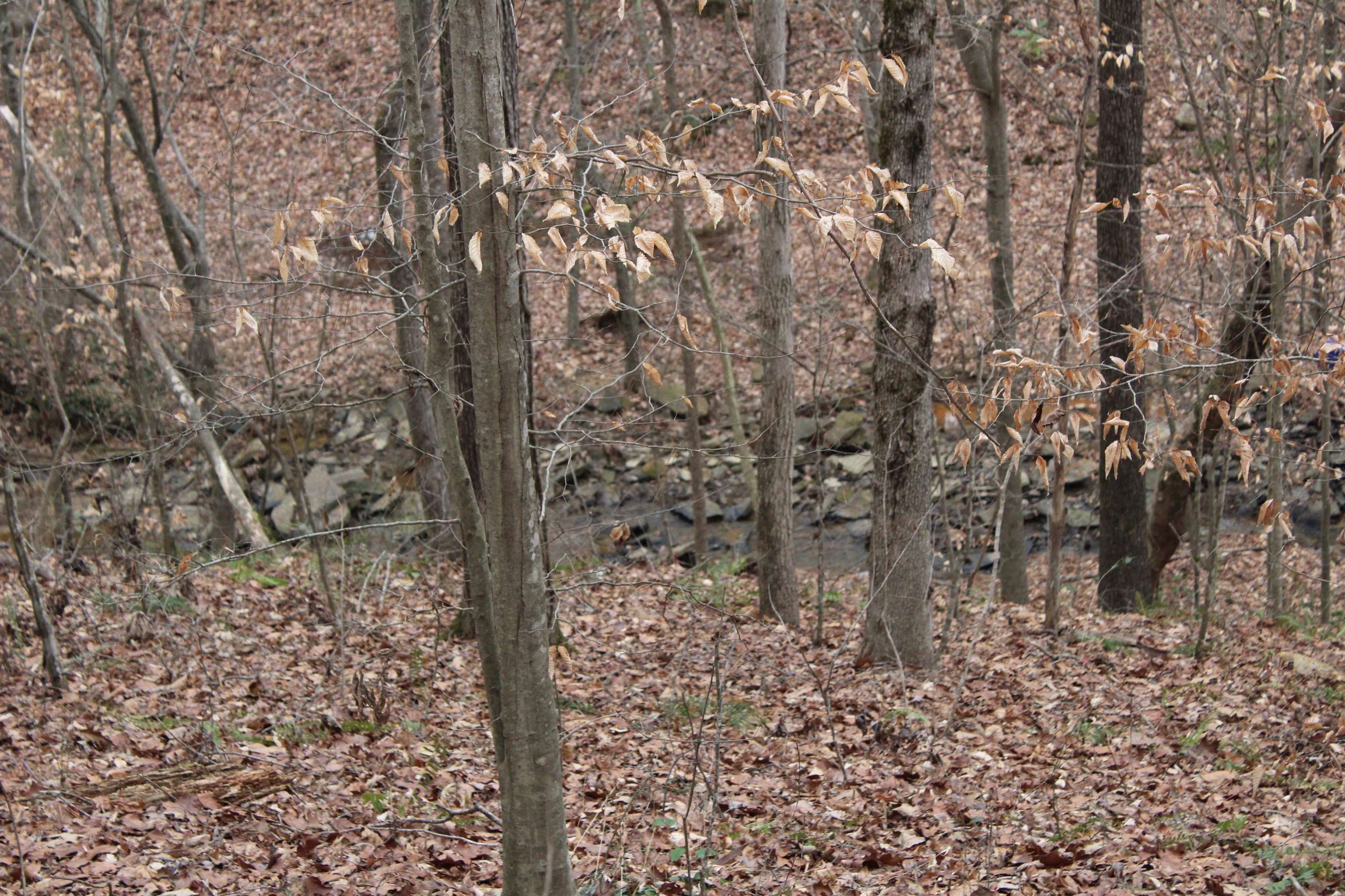 Property Photo:  Lot 9 Quail Run  AL 35057 - CULLMAN 