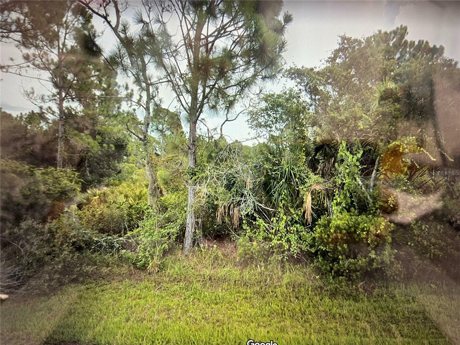 Property Photo:  13291 Chiminiello Drive  FL 33953 