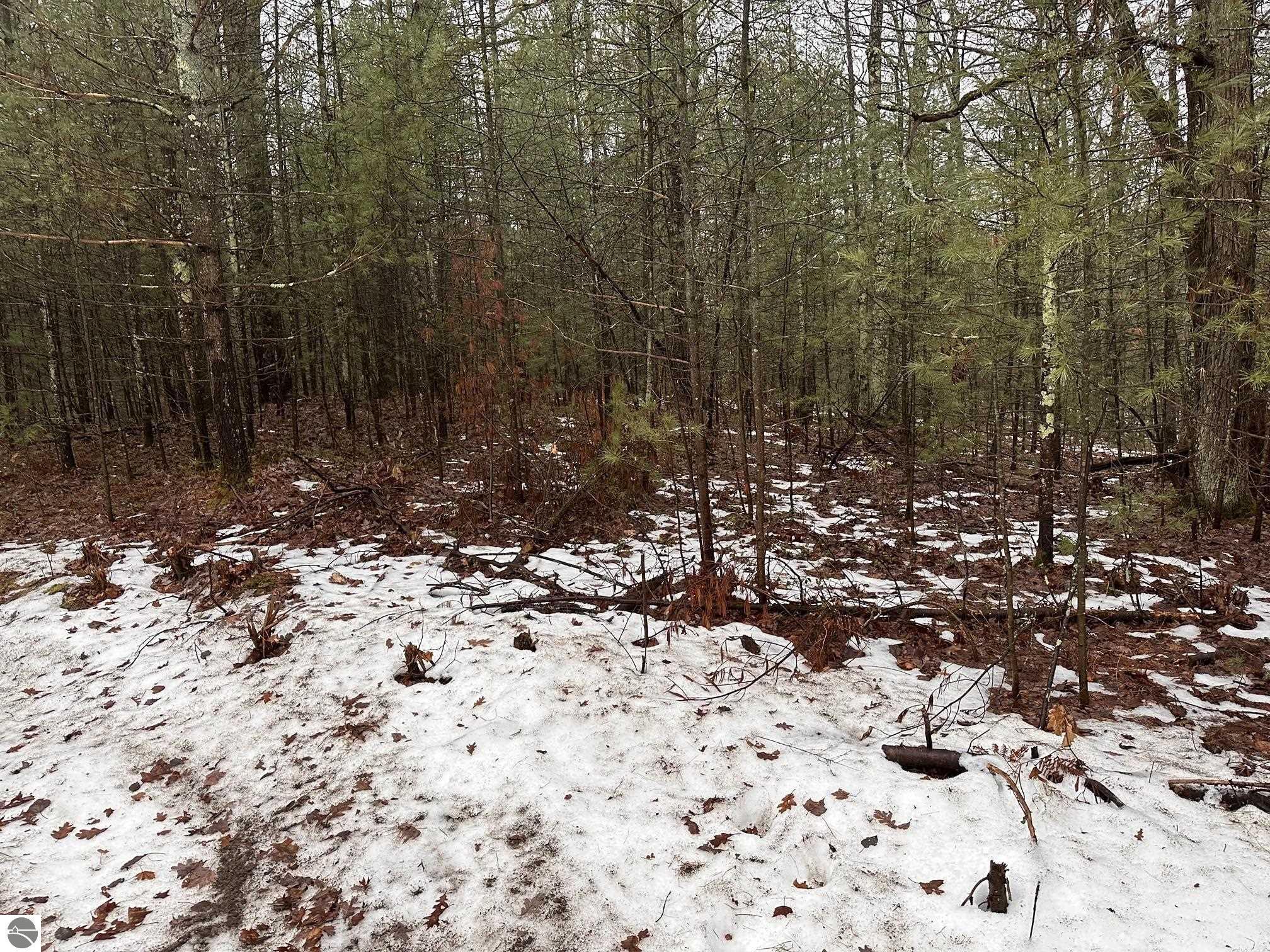 Property Photo:  #A Albrecht  MI 49643 