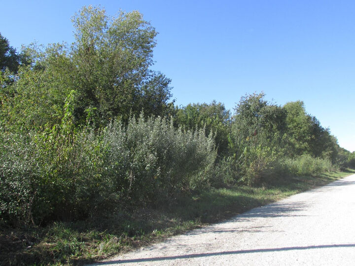 0 Central Road  Kingsbury IN 46345 photo