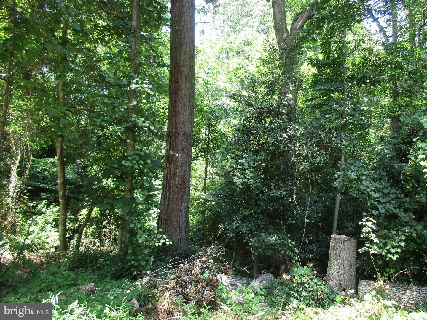 Property Photo: 221 Lessin Drive MD 20657