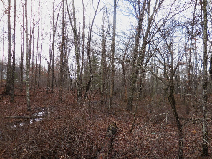 Property Photo: 1143 Natchez Trace TN 38572