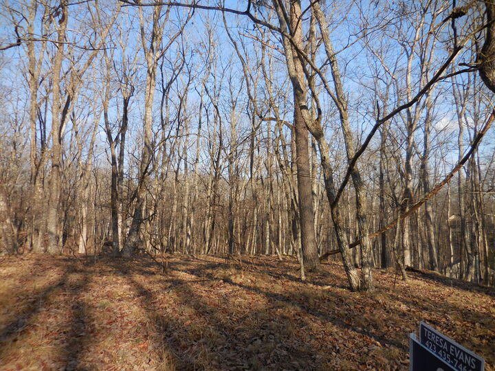 Property Photo:  133 Greenbrier Loop  TN 38558 