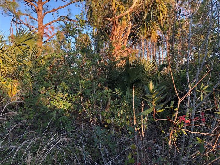 Property Photo:  8348 Sweden Boulevard  FL 33982 