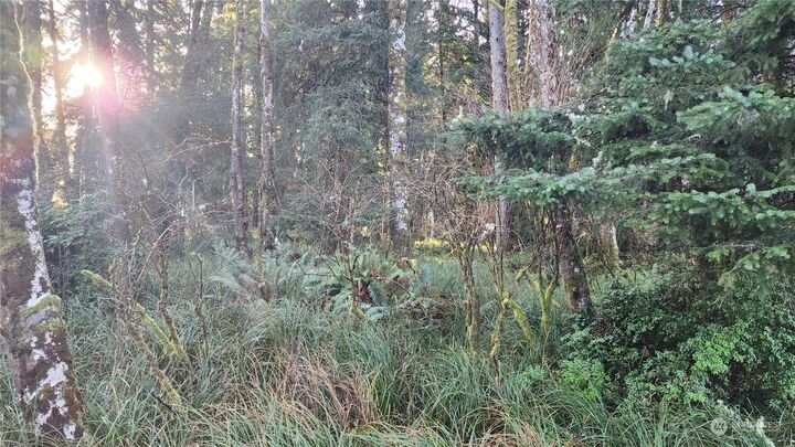 Property Photo:  275 Pearsall Street SW  WA 98569 