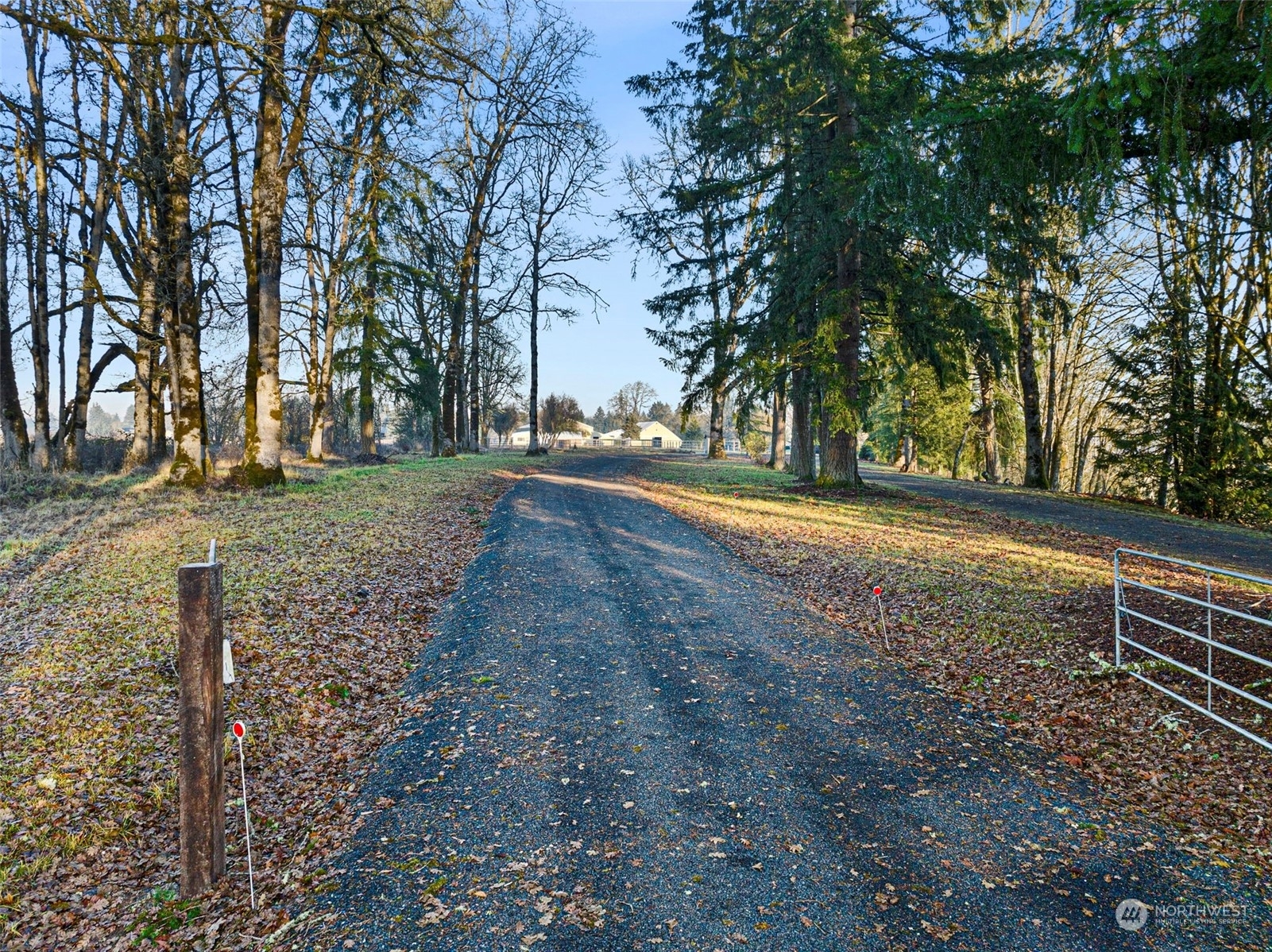 Property Photo:  299 Buckley Road  WA 98591 