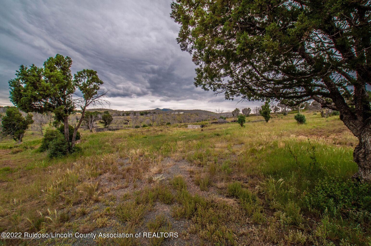 Property Photo:  Mm 3 State Hwy 37 &Amp Wolf Creek Rd  NM 88341 