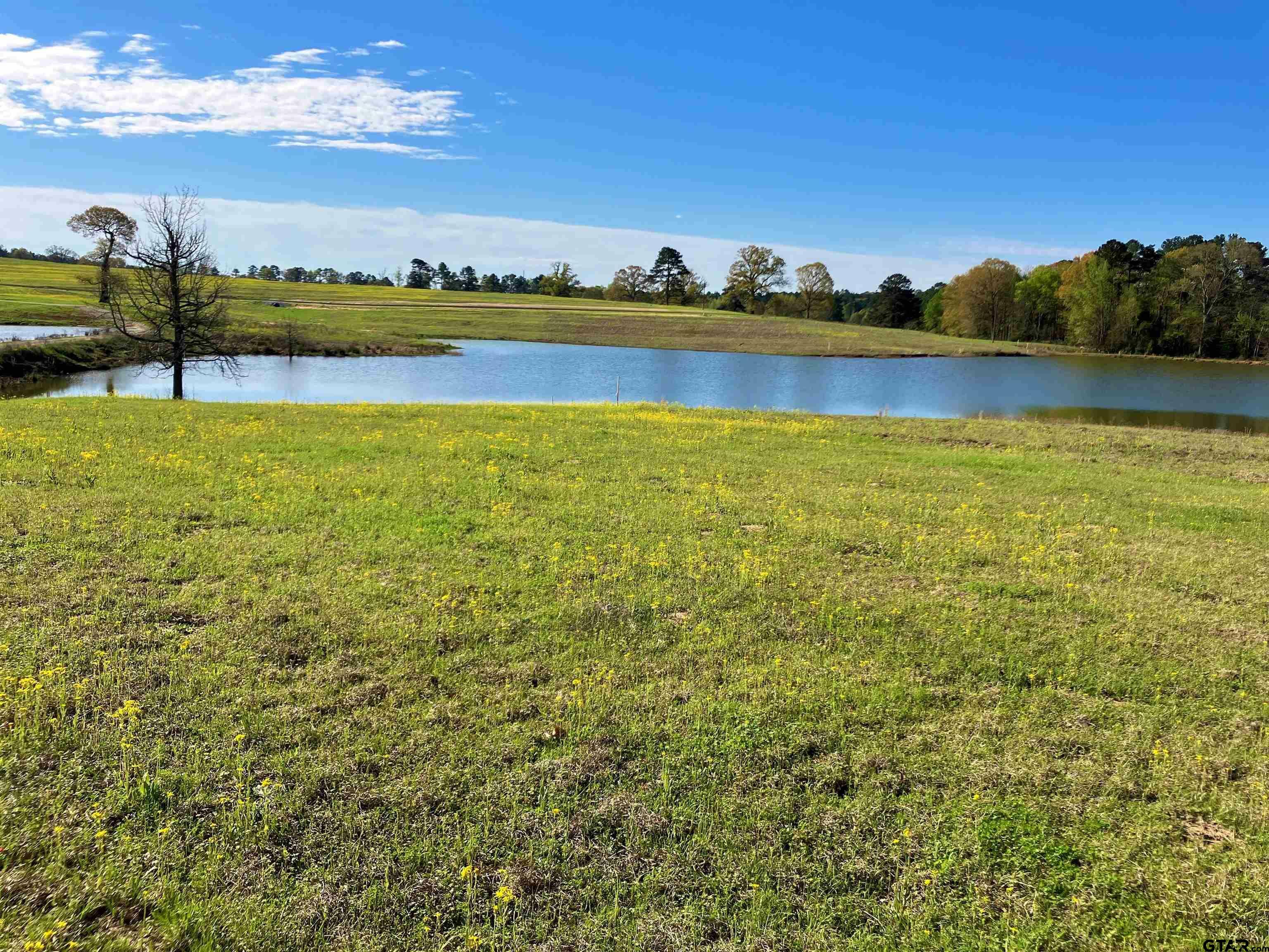 Property Photo: Lot 49 White Oak Creek Ranch TX 75755