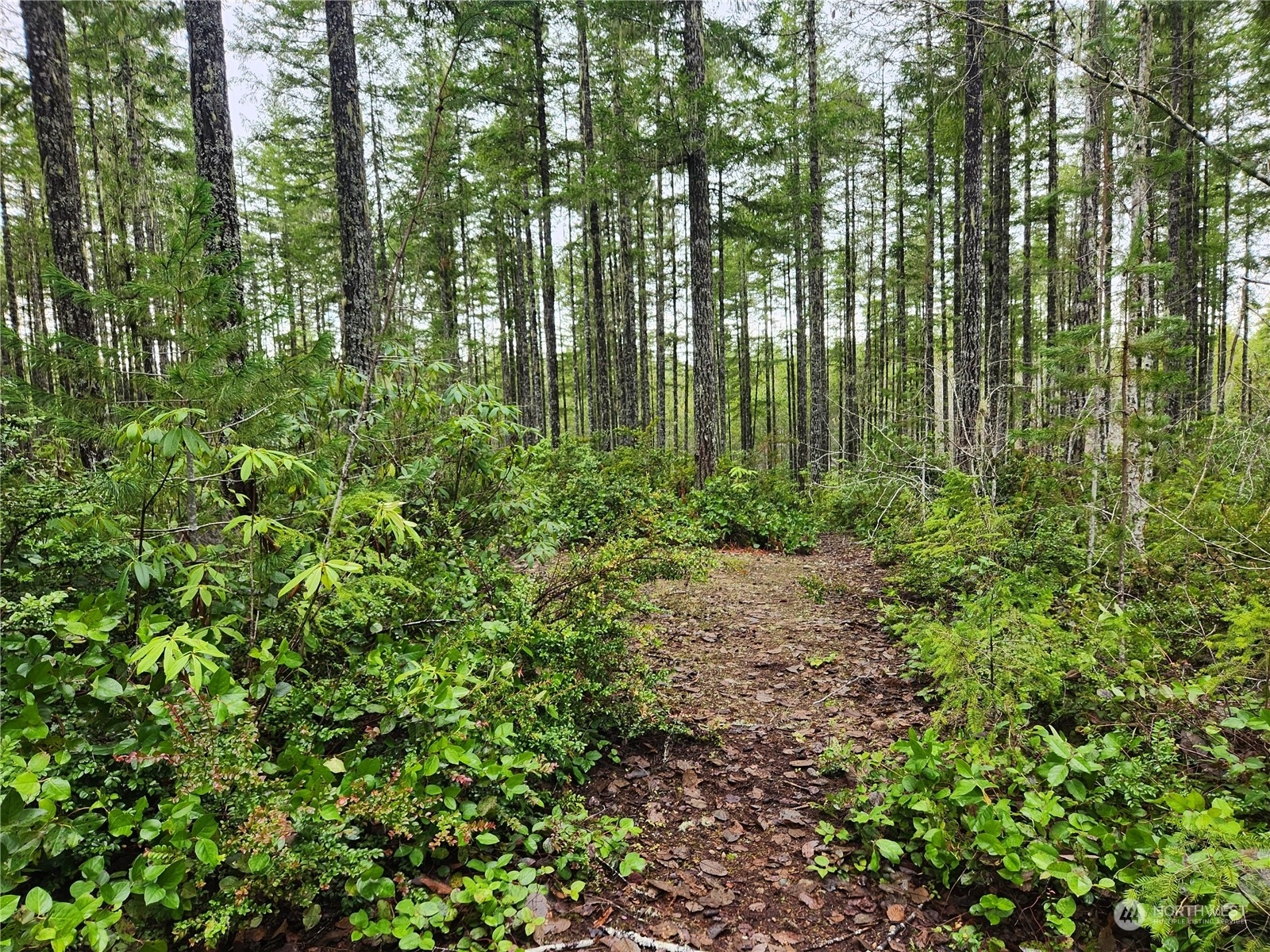 Property Photo: 1370 NE Collins Lake Drive WA 98588